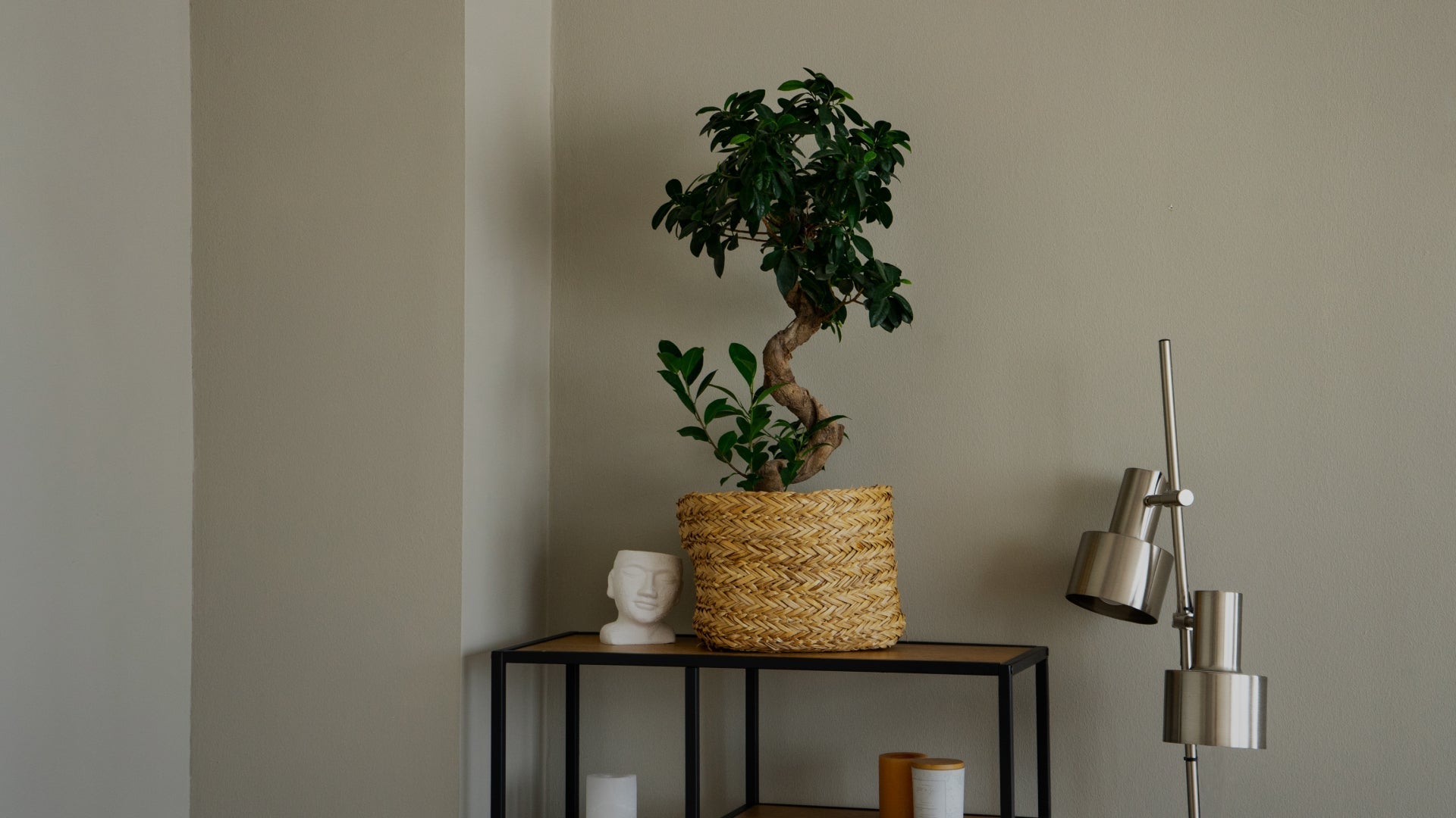 Como Criar Ambientes Aconchegantes e Elegantes com Poucos Elementos